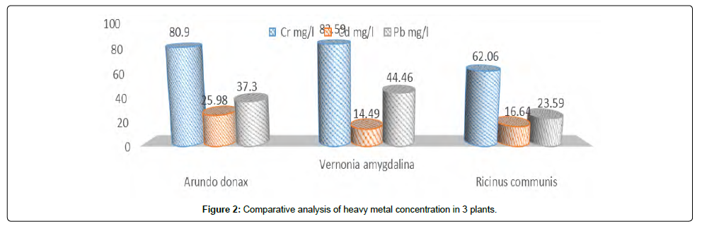 Bioremediation of heavy metals thesis