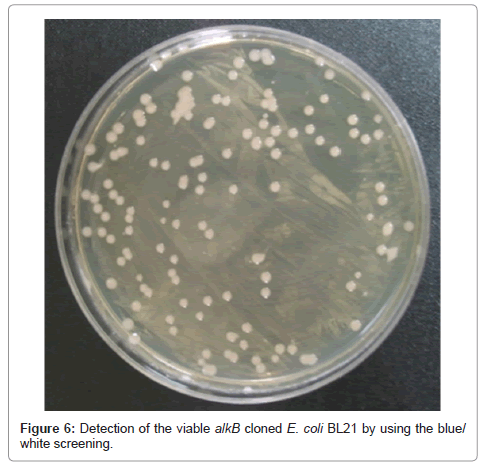 bioremediation-biodegradation-Detection