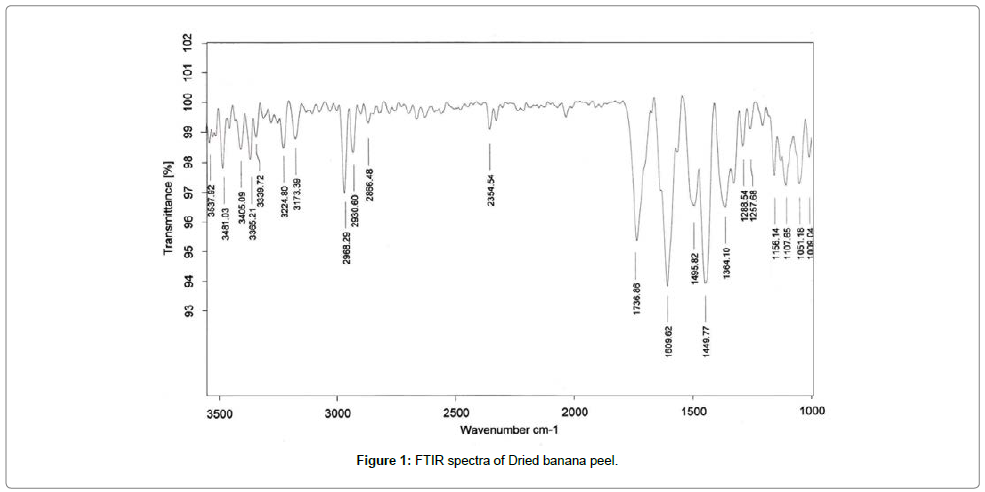 bioremediation-biodegradation-Dried-banana-peel