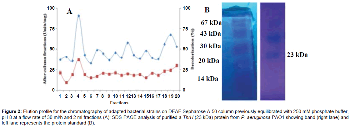 bioremediation-biodegradation-Elution-profile