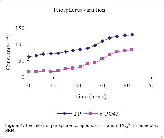bioremediation-biodegradation-Evolution-phosphate-anaerobic