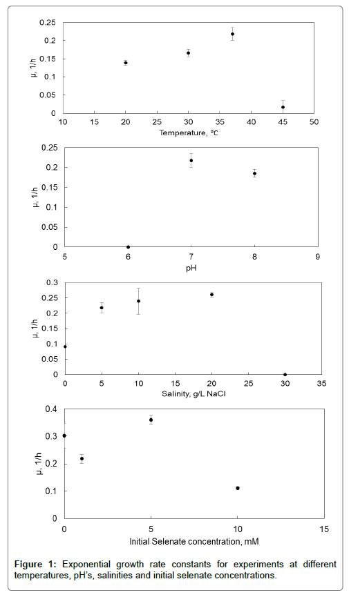 bioremediation-biodegradation-Exponential