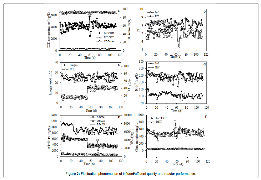 bioremediation-biodegradation-Fluctuation-phenomenon