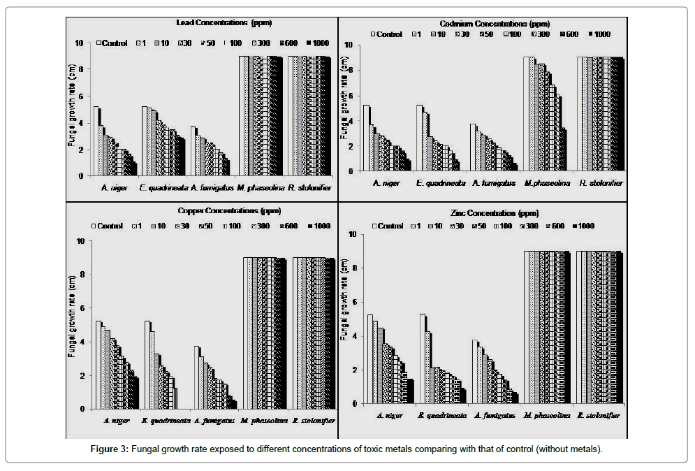 bioremediation-biodegradation-Fungal-growth-rate-exposed