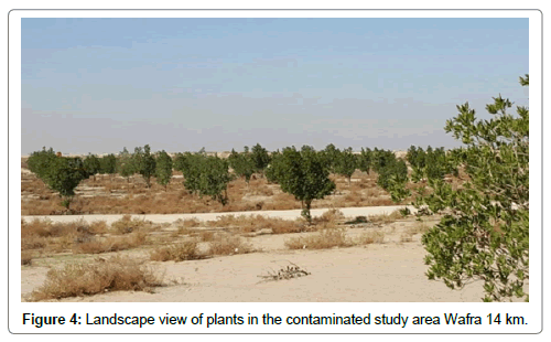 bioremediation-biodegradation-Landscape-view-plants