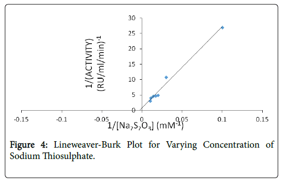 bioremediation-biodegradation-Lineweaver-Burk