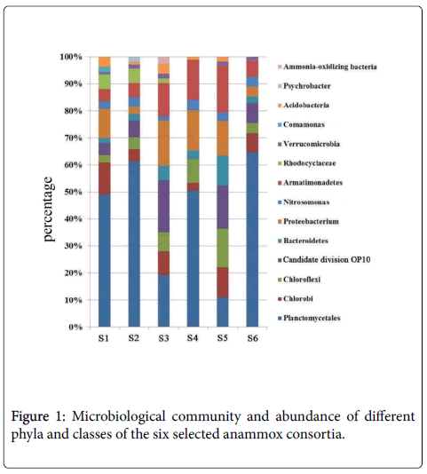 bioremediation-biodegradation-Microbiological-community-abundance