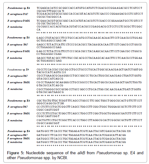bioremediation-biodegradation-Nucleotide-sequence