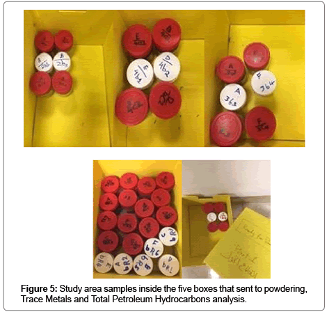 bioremediation-biodegradation-Petroleum-Hydrocarbons
