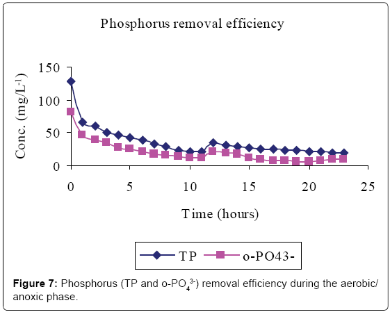 bioremediation-biodegradation-Phosphorus-efficiency-aerobic