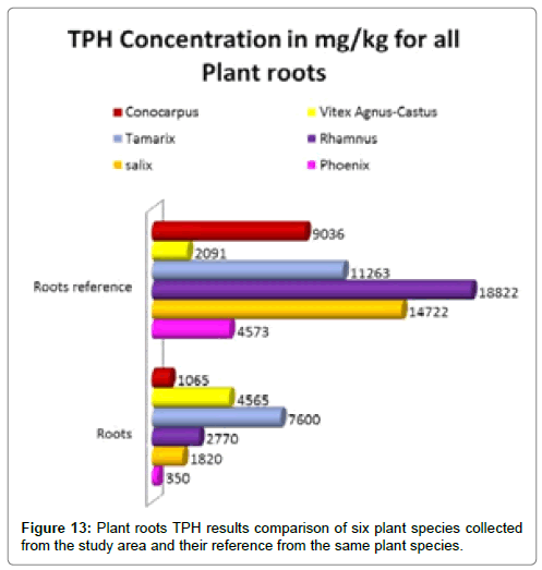 bioremediation-biodegradation-Plant-roots-TPH-results-comparison