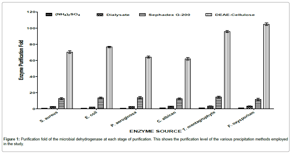 bioremediation-biodegradation-Purification-fold