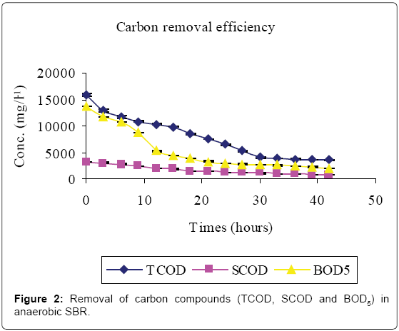bioremediation-biodegradation-Removal-carbon-compounds