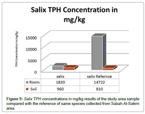 bioremediation-biodegradation-Salix-TPH-concentrations