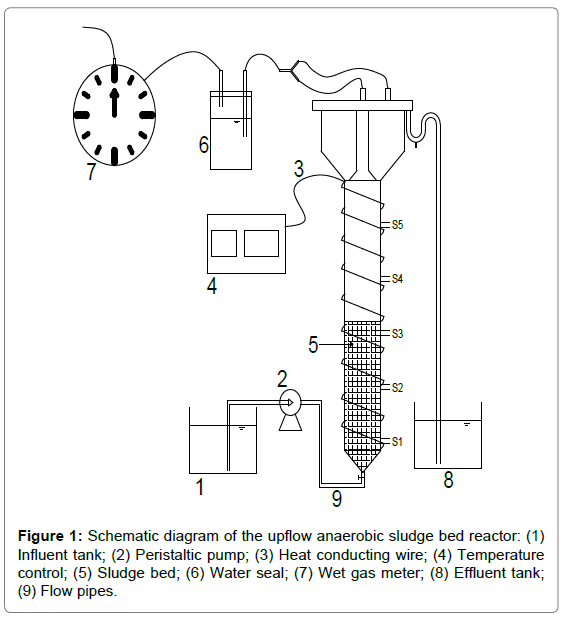 bioremediation-biodegradation-Schematic-diagram