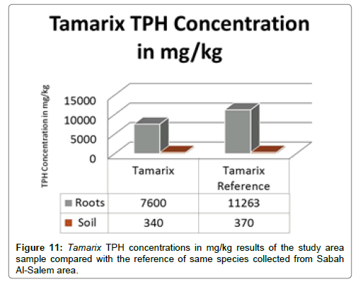 bioremediation-biodegradation-Tamarix-TPH-concentrations