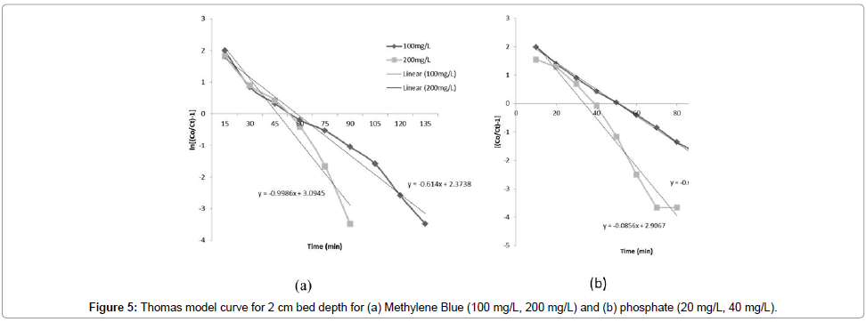 bioremediation-biodegradation-Thomas-model