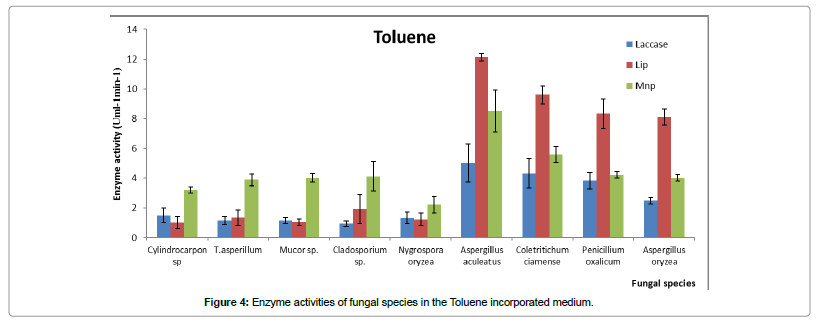 bioremediation-biodegradation-Toluene-incorporated-medium