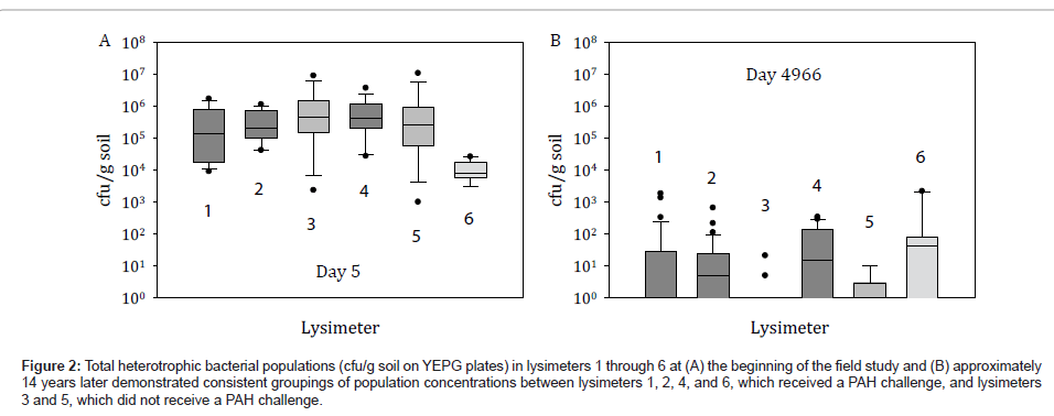 bioremediation-biodegradation-Total-heterotrophic