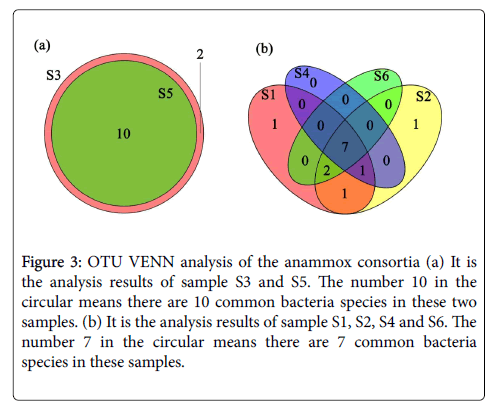 bioremediation-biodegradation-analysis-anammox-consortia