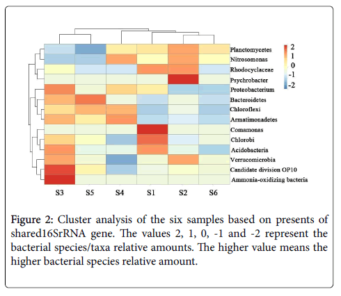 bioremediation-biodegradation-bacterial-species-taxa-relative