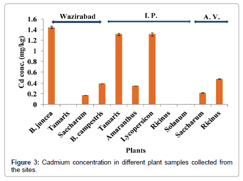 bioremediation-biodegradation-cadmium-concentration-different-plant