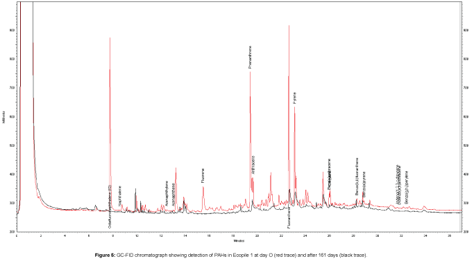 bioremediation-biodegradation-chromatograph-showing-detection