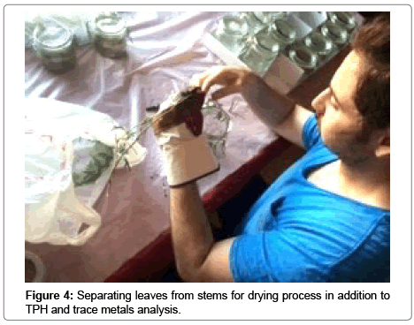 bioremediation-biodegradation-drying-process