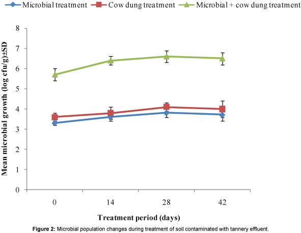 bioremediation-biodegradation-during-treatment