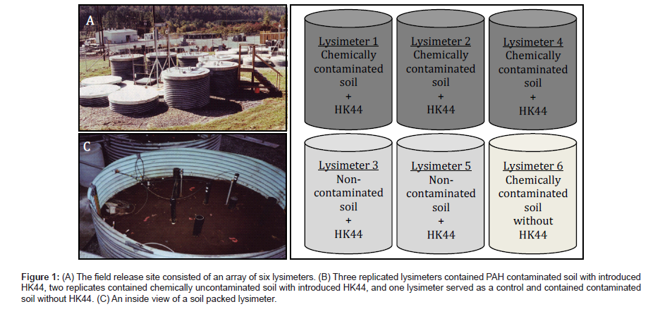 bioremediation-biodegradation-field-release