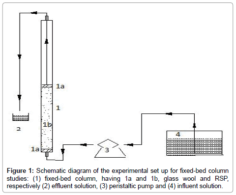 bioremediation-biodegradation-fixed-bed-column