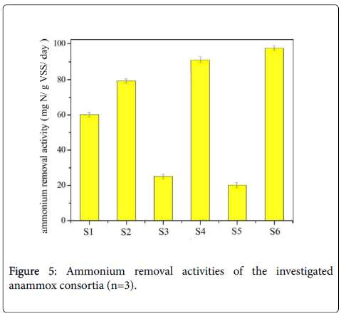 bioremediation-biodegradation-investigated-anammox-consortia