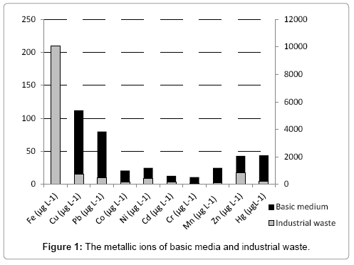 bioremediation-biodegradation-metallic-ions