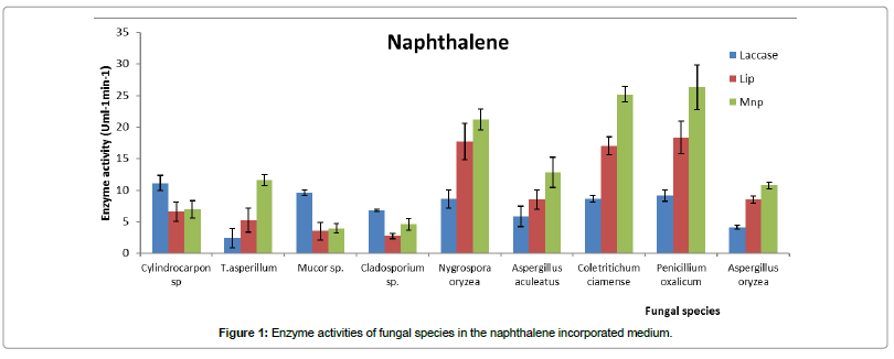 bioremediation-biodegradation-naphthalene-incorporated-medium