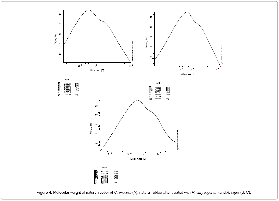 bioremediation-biodegradation-natural-rubber