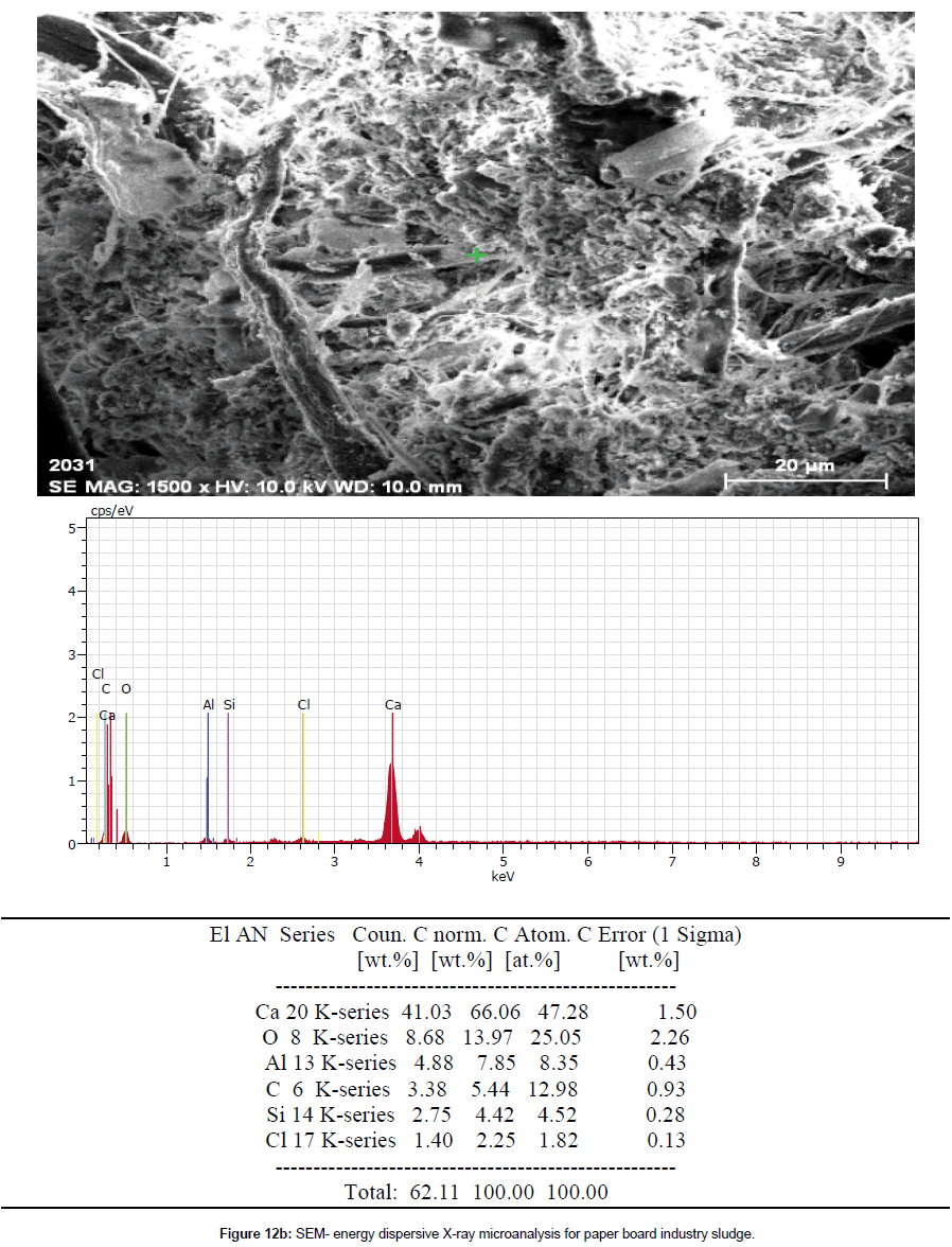bioremediation-biodegradation-paper-board-industry