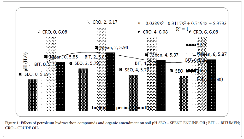 bioremediation-biodegradation-petroleum-hydrocarbon