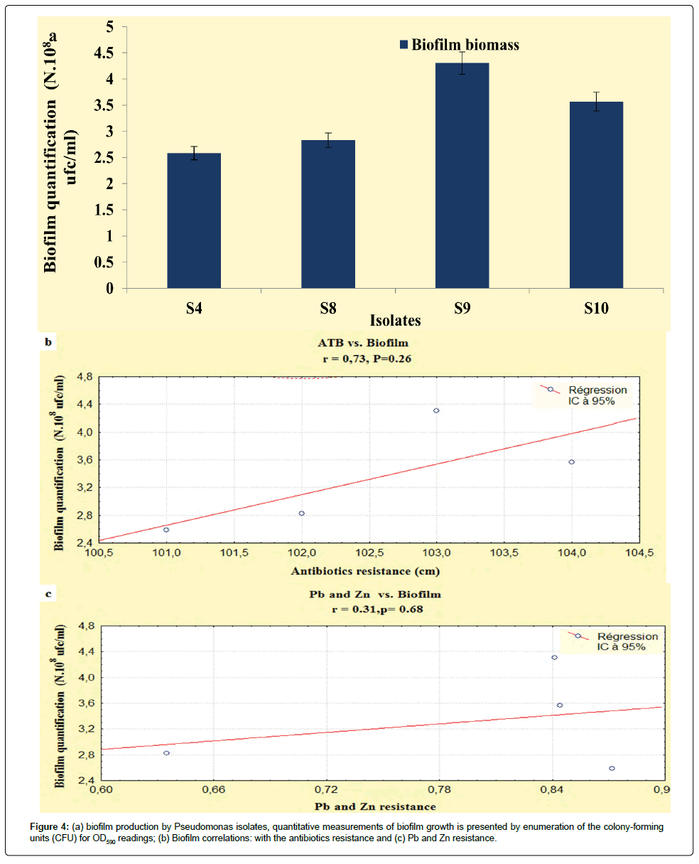 bioremediation-biodegradation-quantitative-measurements-biofilm