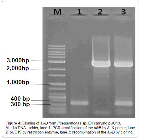 bioremediation-biodegradation-restriction-enzyme