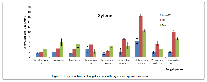 bioremediation-biodegradation-xylene-incorporated-medium