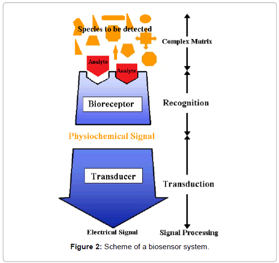 biosensors