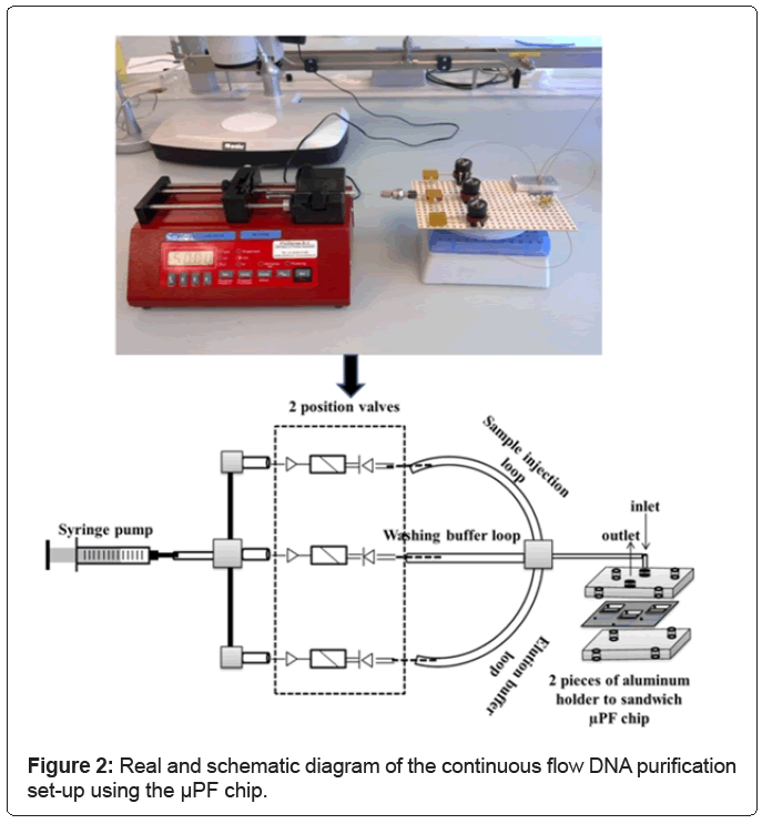 biosensorsbioelectronicscontinuous