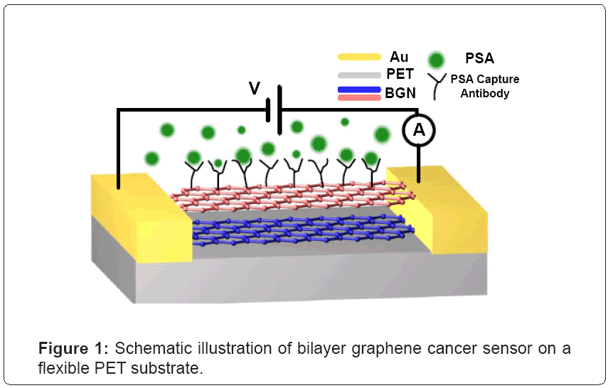 biosensorsbioelectronicsillustration