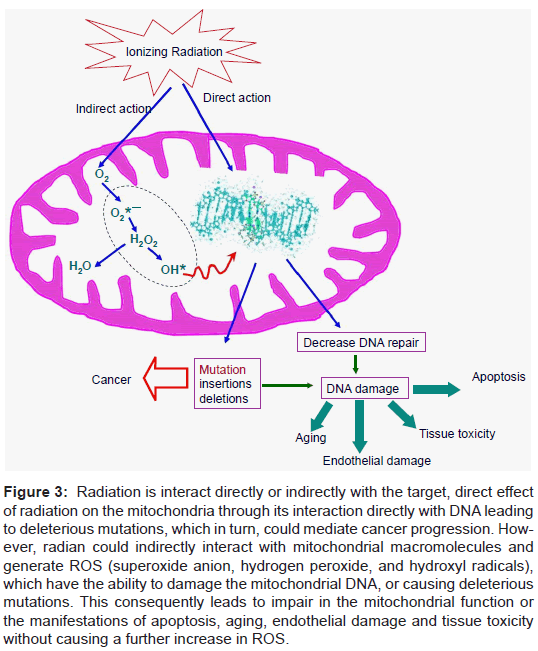Electromagnetic Waves Staelin Pdf Viewer Electromagnetic Waves Staelin Pdf Viewer
