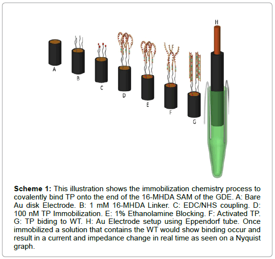 biosensorsbioelectronicsthisillustration