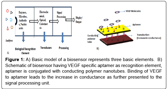 biosensors-journal-Basic-model-biosensor
