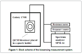biosensors-journal-Block-scheme-biosensing-measurement