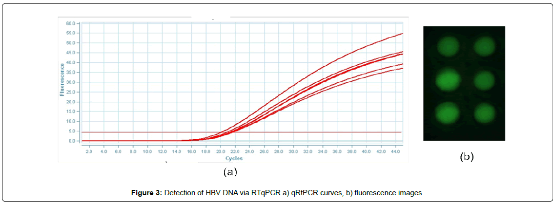 biosensors-journal-qRTPCR-5-136-g001