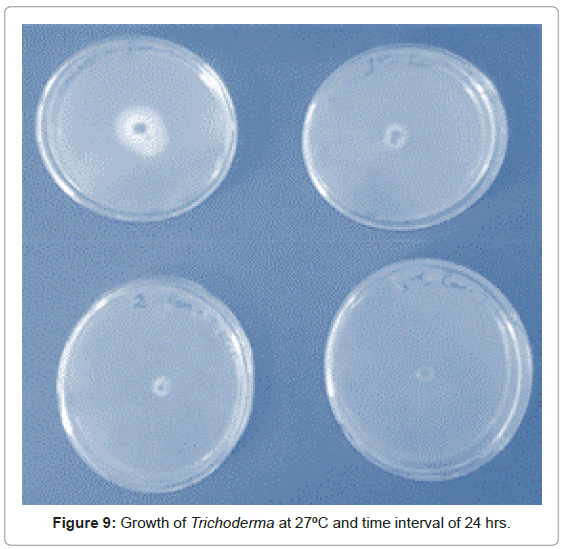 biosensors-journal-Growth-Trichoderma