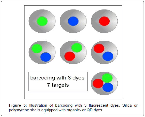 biosensors-journal-Illustration-barcoding-fluorescent-dyes